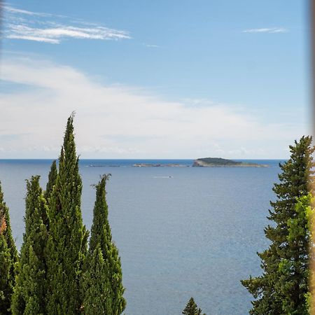 Apartments Villa Silvana Mlini Buitenkant foto